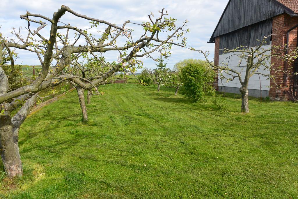 Rodinne Ubytovani - Family Accommodation Kobylice Buitenkant foto